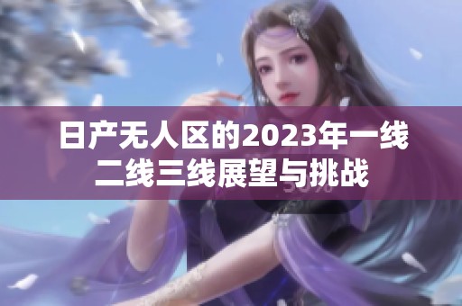 日产无人区的2023年一线二线三线展望与挑战