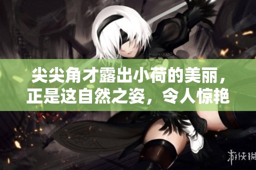 尖尖角才露出小荷的美丽，正是这自然之姿，令人惊艳不已