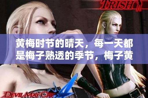 黄梅时节的晴天，每一天都是梅子熟透的季节，梅子黄时**晴。