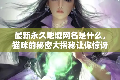 最新永久地域网名是什么，猫咪的秘密大揭秘让你惊讶