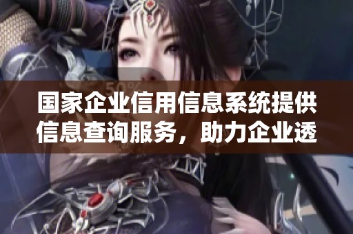 国家企业信用信息系统提供信息查询服务，助力企业透明化发展