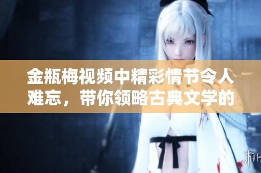 金瓶梅视频中精彩情节令人难忘，带你领略古典文学的魅力与深邃。