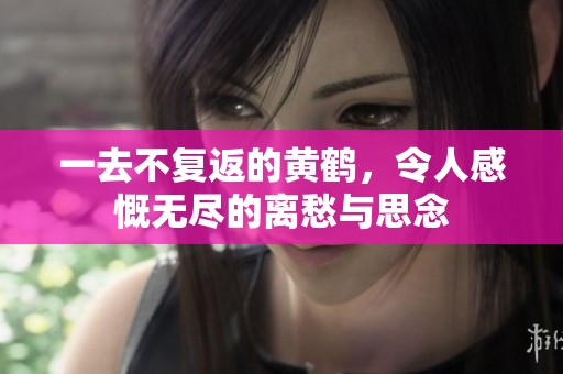 一去不复返的黄鹤，令人感慨无尽的离愁与思念