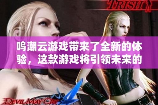 鸣潮云游戏带来了全新的体验，这款游戏将引领未来的游戏潮流。