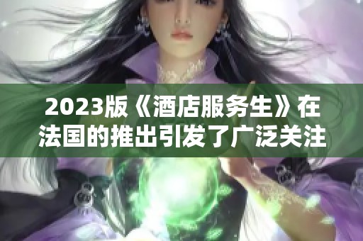 2023版《酒店服务生》在法国的推出引发了广泛关注与热议
