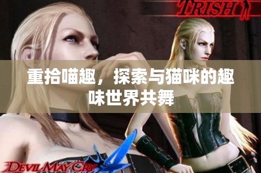 重拾喵趣，探索与猫咪的趣味世界共舞
