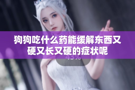 狗狗吃什么药能缓解东西又硬又长又硬的症状呢