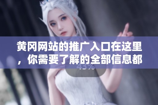 黄冈网站的推广入口在这里，你需要了解的全部信息都在此汇总