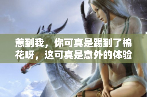 惹到我，你可真是踢到了棉花呀，这可真是意外的体验！