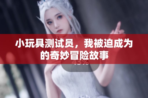 小玩具测试员，我被迫成为的奇妙冒险故事