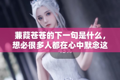 蒹葭苍苍的下一句是什么，想必很多人都在心中默念这一句吧