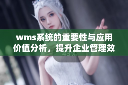 wms系统的重要性与应用价值分析，提升企业管理效率的关键工具
