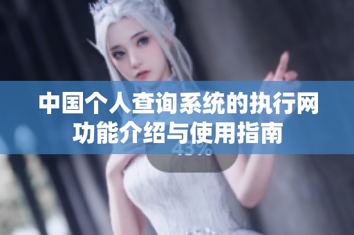中国个人查询系统的执行网功能介绍与使用指南