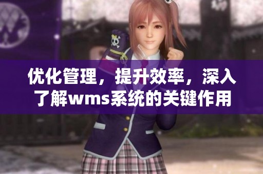 优化管理，提升效率，深入了解wms系统的关键作用与应用实践