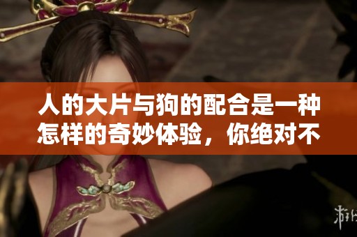 人的大片与狗的配合是一种怎样的奇妙体验，你绝对不容错过！