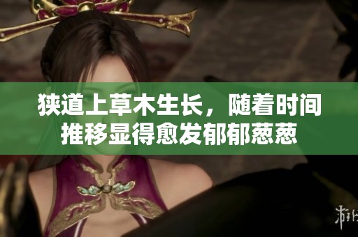 狭道上草木生长，随着时间推移显得愈发郁郁葱葱