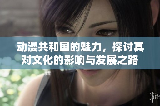 动漫共和国的魅力，探讨其对文化的影响与发展之路