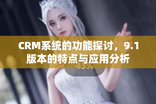 CRM系统的功能探讨，9.1版本的特点与应用分析
