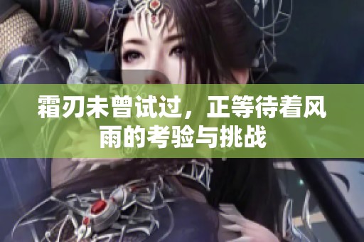 霜刃未曾试过，正等待着风雨的考验与挑战