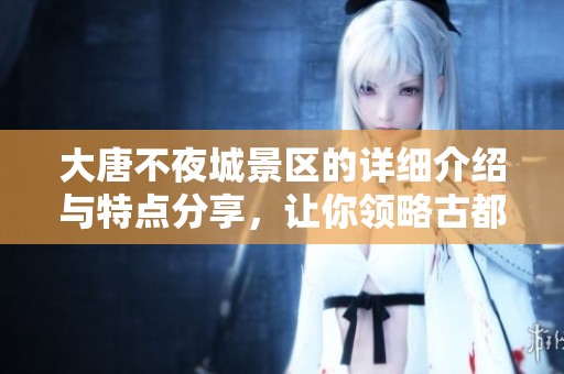 大唐不夜城景区的详细介绍与特点分享，让你领略古都魅力。