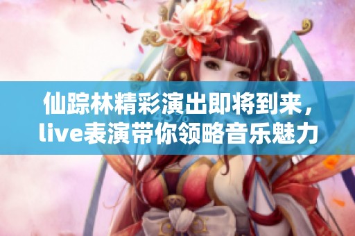 仙踪林精彩演出即将到来，live表演带你领略音乐魅力