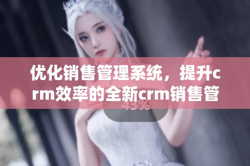 优化销售管理系统，提升crm效率的全新crm销售管理解决方案