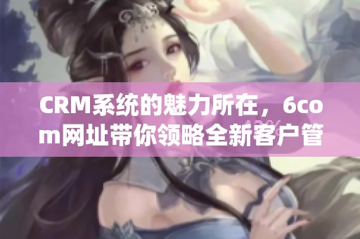 CRM系统的魅力所在，6com网址带你领略全新客户管理体验