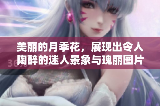 美丽的月季花，展现出令人陶醉的迷人景象与瑰丽图片