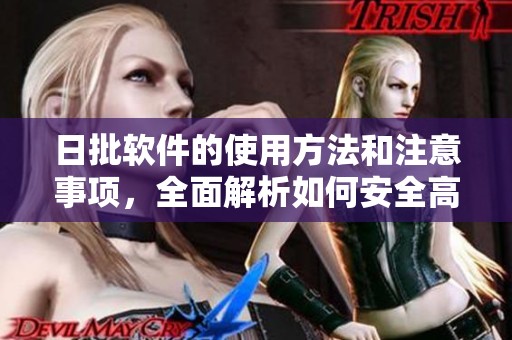 日批软件的使用方法和注意事项，全面解析如何安全高效地使用日批软件