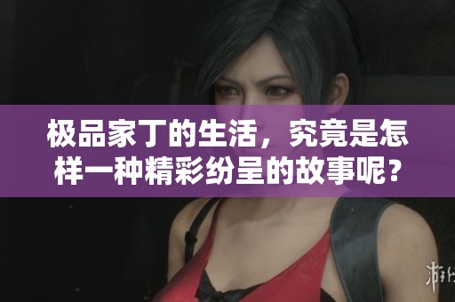 极品家丁的生活，究竟是怎样一种精彩纷呈的故事呢？