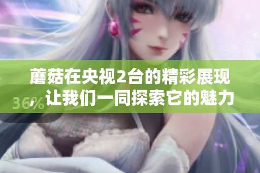 蘑菇在央视2台的精彩展现，让我们一同探索它的魅力与美味