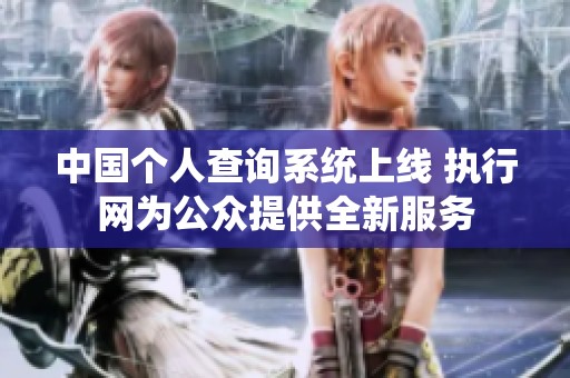中国个人查询系统上线 执行网为公众提供全新服务