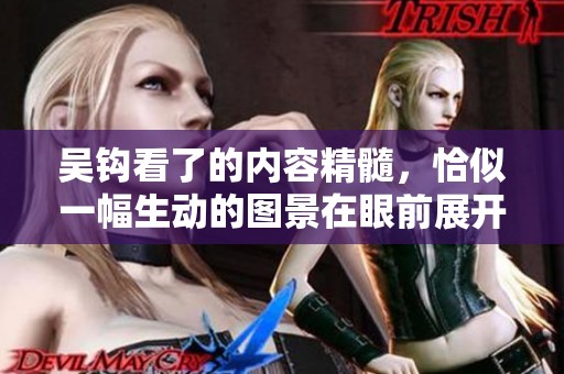 吴钩看了的内容精髓，恰似一幅生动的图景在眼前展开。