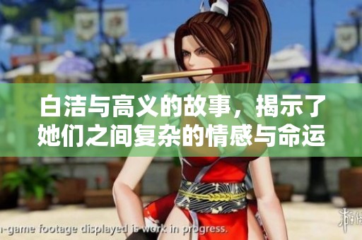 白洁与高义的故事，揭示了她们之间复杂的情感与命运交织。