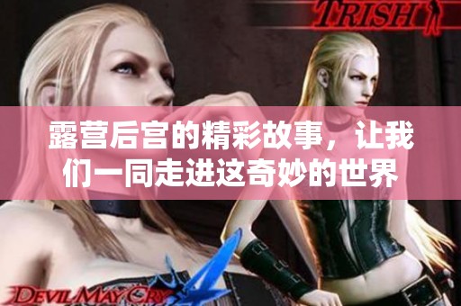露营后宫的精彩故事，让我们一同走进这奇妙的世界