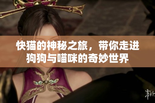 快猫的神秘之旅，带你走进狗狗与喵咪的奇妙世界