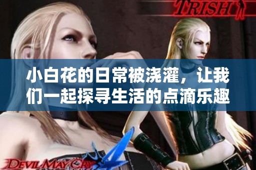小白花的日常被浇灌，让我们一起探寻生活的点滴乐趣