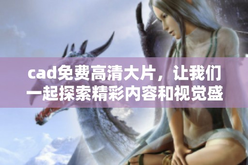 cad免费高清大片，让我们一起探索精彩内容和视觉盛宴