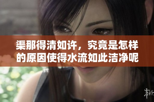 渠那得清如许，究竟是怎样的原因使得水流如此洁净呢