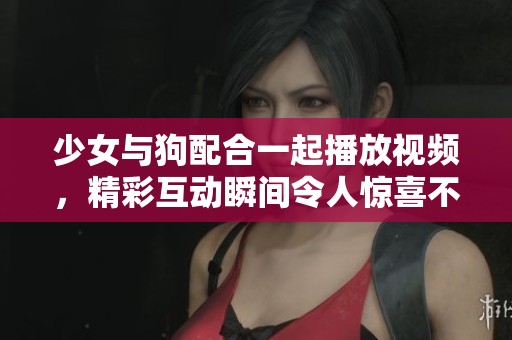 少女与狗配合一起播放视频，精彩互动瞬间令人惊喜不已