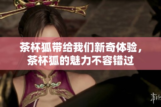 茶杯狐带给我们新奇体验，茶杯狐的魅力不容错过