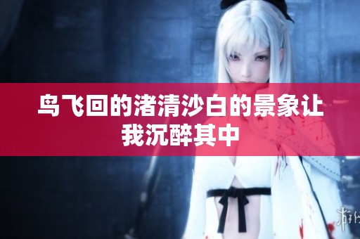 鸟飞回的渚清沙白的景象让我沉醉其中
