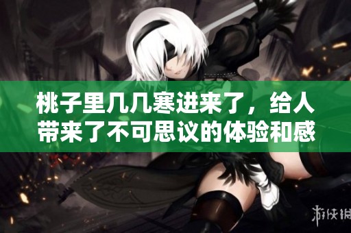 桃子里几几寒进来了，给人带来了不可思议的体验和感受