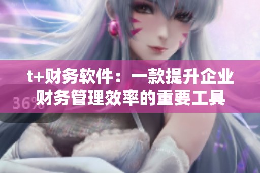 t+财务软件：一款提升企业财务管理效率的重要工具