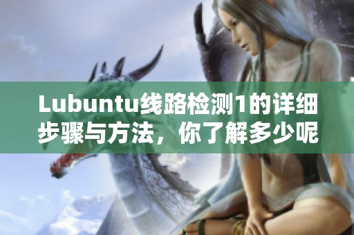 Lubuntu线路检测1的详细步骤与方法，你了解多少呢？