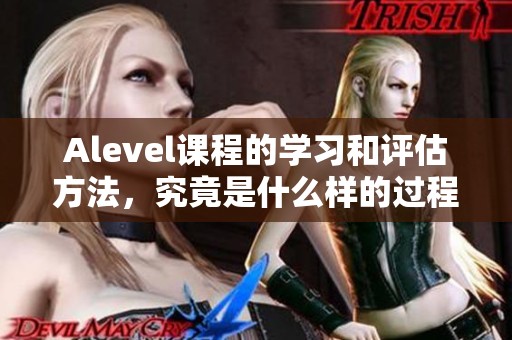 Alevel课程的学习和评估方法，究竟是什么样的过程呢