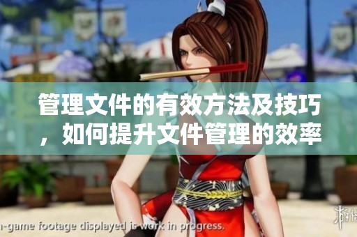 管理文件的有效方法及技巧，如何提升文件管理的效率与规范性