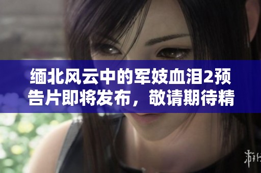 缅北风云中的军妓血泪2预告片即将发布，敬请期待精彩内容