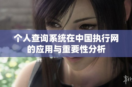 个人查询系统在中国执行网的应用与重要性分析