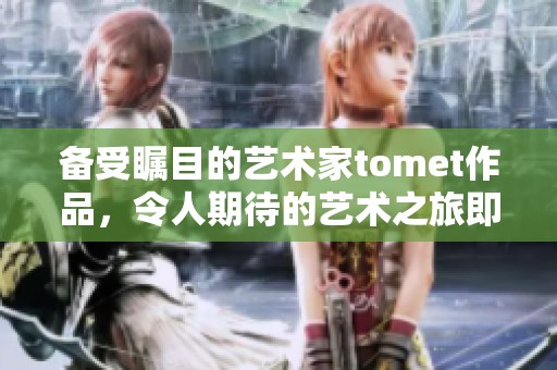 备受瞩目的艺术家tomet作品，令人期待的艺术之旅即将开启